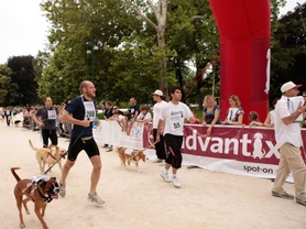 Advantix Running 2012